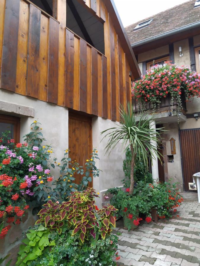 Appartement Duplex Chez Sandra Ottrott Luaran gambar